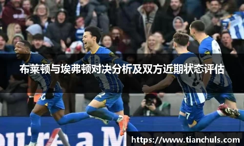 布莱顿与埃弗顿对决分析及双方近期状态评估