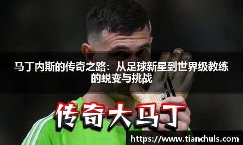 马丁内斯的传奇之路：从足球新星到世界级教练的蜕变与挑战
